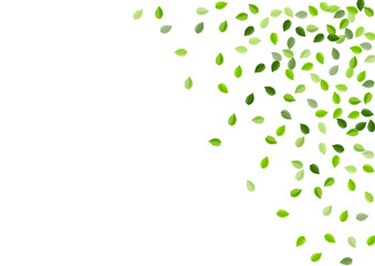Swamp Greens Spring Vector Backdrop. Blur Leaves