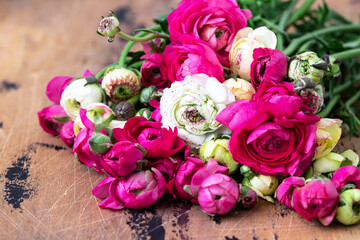 Ranunculus flowers of different colors