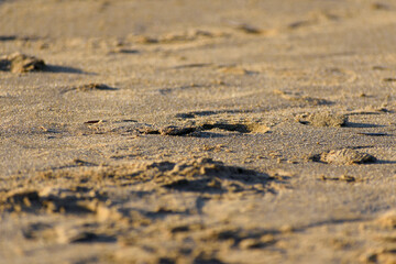 Fototapeta na wymiar Footprints in the sand, on the summer beach