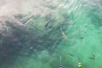 Close-up Sea surface and small fish for background.