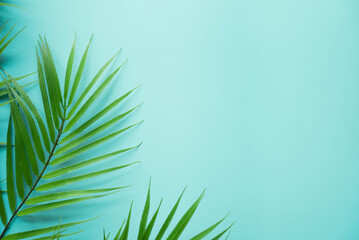 close up top view on coconut tropical leaves on teal and cyan ole background with copy space for...