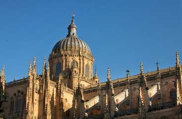 Ancient historical cathedral in Salamanca, Spain