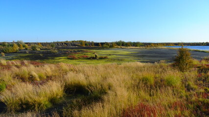 green swamp of autumn