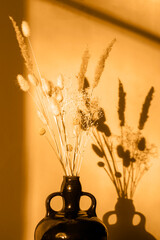 Fototapeta premium Dry flowers in a vase at sunset, hard shadow.