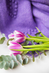 Beautiful bouquet of purple tulips with eucalyptus on a white chair along with a purple sweater. Spring mood, 8 March. Postcard for the holiday.