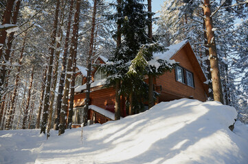 lonely wooden log house among a winter pine forest, large snowdrifts around, a clear sunny day, snow on the branches of trees