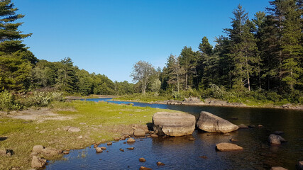 Beautiful calm creek in Canada, Ontario - scenic landscape