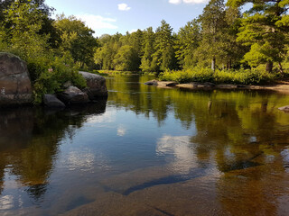 Scenic calm creek surrounded by big rocks an a bright green mixed forest.