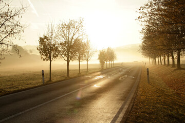 Nebel, Dunst, Morgennebel, Herbst, Waltershausen, Thueringen, Deutschland, Europa   --  
Fog, Haze, Morning fog, Autumn, Waltershausen, Thuringia, Germany, Europe