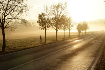 Fototapeta premium Nebel, Dunst, Morgennebel, Herbst, Waltershausen, Thueringen, Deutschland, Europa -- Fog, Haze, Morning fog, Autumn, Waltershausen, Thuringia, Germany, Europe