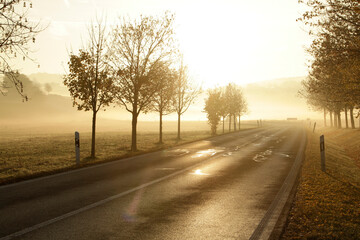 Nebel, Dunst, Morgennebel, Herbst, Waltershausen, Thueringen, Deutschland, Europa   --  
Fog, Haze, Morning fog, Autumn, Waltershausen, Thuringia, Germany, Europe