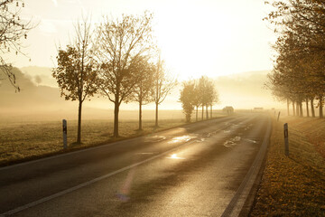 Fototapeta premium Nebel, Dunst, Morgennebel, Herbst, Waltershausen, Thueringen, Deutschland, Europa -- Fog, Haze, Morning fog, Autumn, Waltershausen, Thuringia, Germany, Europe