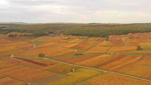 Vignoble de Bourgogne en automne