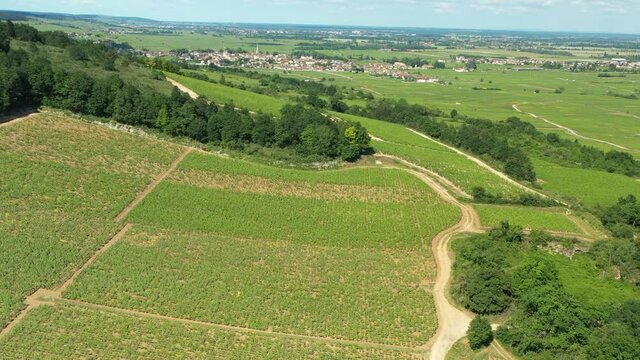 Le vignoble de Meursault vue du ciel