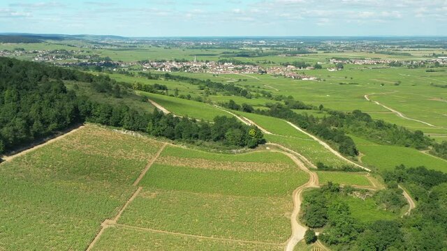 Le vignoble de Meursault vue du ciel
