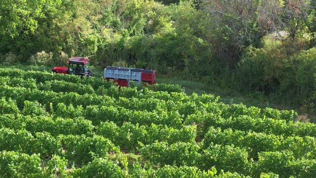 Tracteur avec une remorque de raisin dans le vignoble en Bourgogne