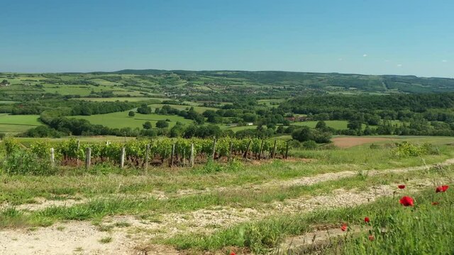 Vignoble en Bourgogne dans les hautes cotes