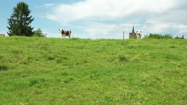 Village de Molamboz dans le Jura film&eacute; pari un drone