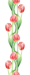 Seamless pattern with watercolor red tulips