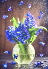 Beautiful hyacinth flowers in glass vase on wooden blurred background