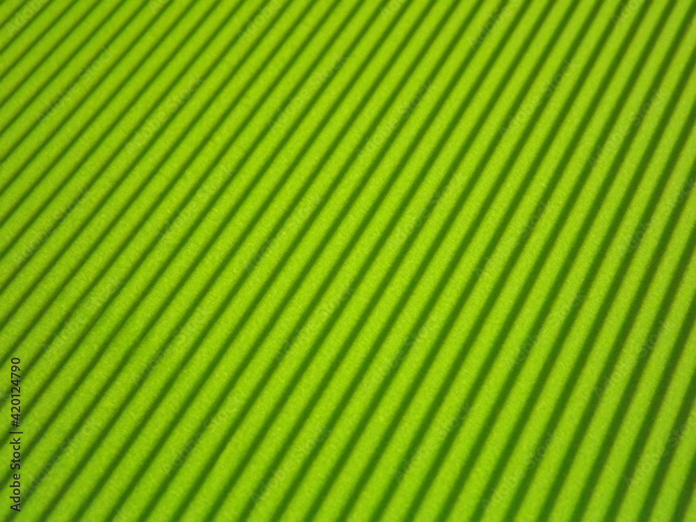 Wall mural green background with longitudinal stripes as an abstraction. High quality photo