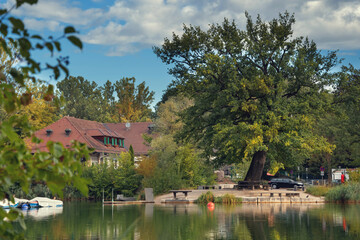 summer photo on a lake in bavaria ingolstadt
