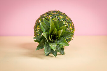 Pineapple on a colored background