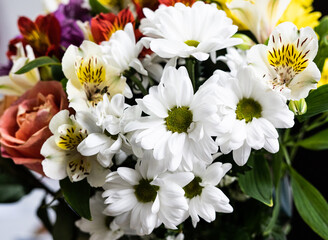 Rich bunch of pink peonies and lilac eustoma roses flowers, green leaf in glass vase. Fresh spring bouquet