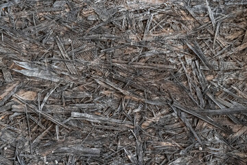 old gray texture osb board, background gray texture