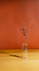 The plant with the root in a dried form stands in a transparent flask on an orange-yellow background in the style of wabi Sabi. Hard shadows and copy space.