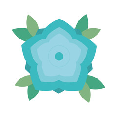 flower leaves natural