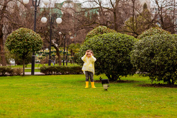 Fototapeta premium a beautiful girl in a yellow raincoat with a hood,and yellow boots, walks in the park with her favorite dog of the Russian spaniel breed