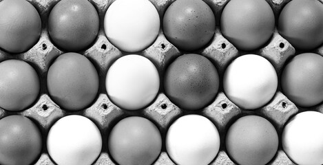 Close-up view of raw chicken eggs in egg box on white wooden background