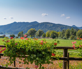 tourist destination in bavaria schliersee in summer