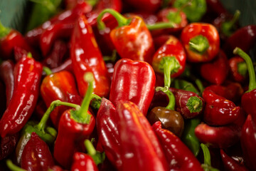 Chiles jalapeños rojos en 45 grados