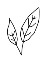 Obraz premium vector