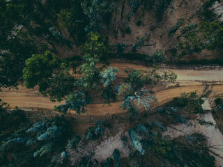 Road in the middle of a forest. Cenital view photo shooted with a drone
