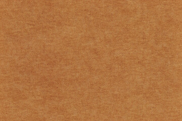 Fototapeta premium Paper Texture. Recycled paper texture background. Scrapbook