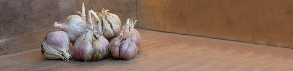 Baner garlic, ripe garlic on a wooden table. Autumn harvest of garlic.