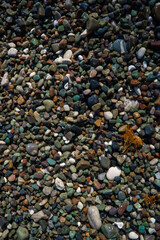 Multicolored sea pebbles