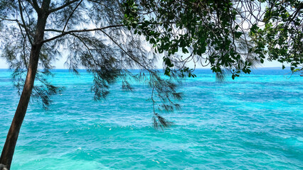 Beautiful view of ocean with blue sky and green tree background. Indian ocean. Tanzania, Zanzibar.