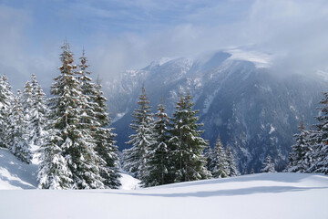 Winter in Godeanu Mountains, Carpathians, Romania, Europe