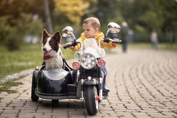 caucasian little boy  driving dog in sidecar of a motorcycle replica in a park