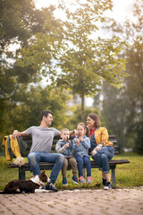 mom and dad enjoying with son and daughter sitting on a bench in park