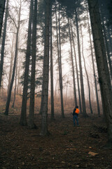 Boy looking, from below, the immensity of a forest with an orange backpack on his shoulders.