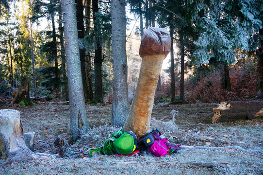 A penis from a log.