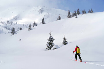 Fototapeta na wymiar Ski tour in Godeanu Mountains, Carpathians, Romania, Europe 
