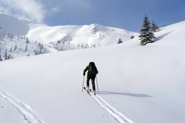 Naklejka na ściany i meble Ski tour in Godeanu Mountains, Carpathians, Romania, Europe