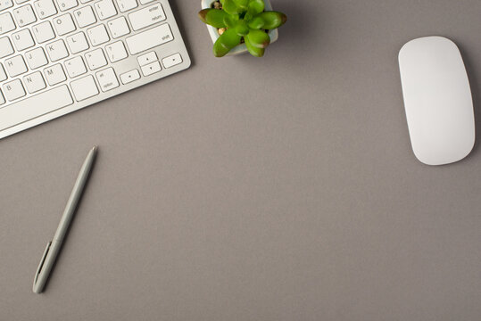 Overhead photo of green plant keyboard computer mouse and pen isolated on the grey background with empty space