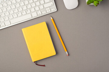Above photo of plant keyboard computer mouse yellow notebook and pencil isolated on the grey background with blank space